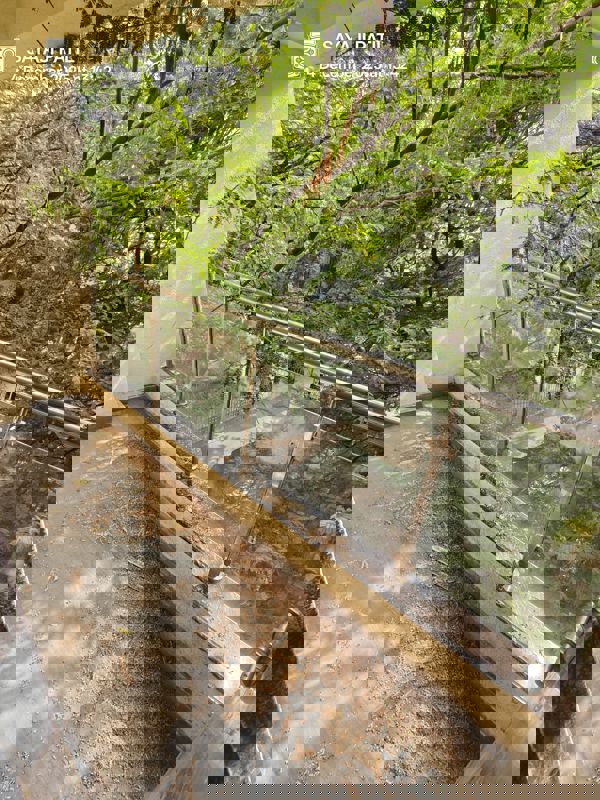 3 BHK + Extra Room Apartment For Sale in Wanowrie