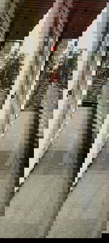 3 BHK Builder Floor For Rent in South City 1