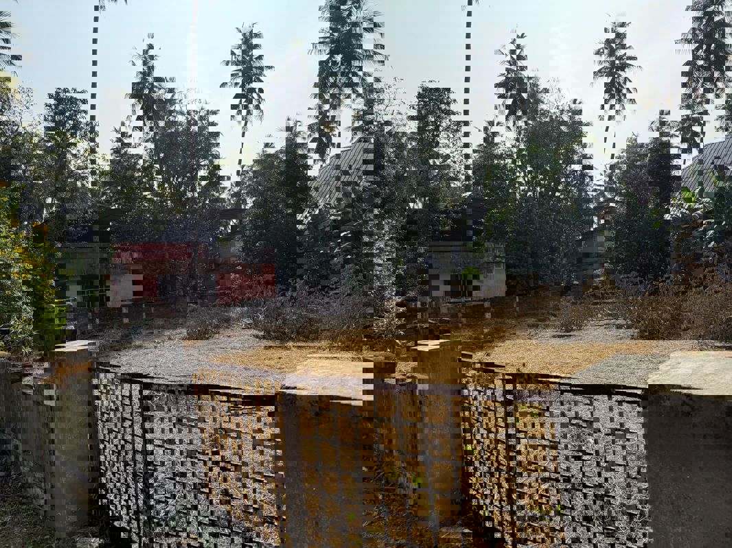 Plot For Sale in Kuriachira