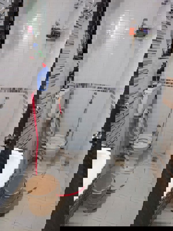 1 BHK Apartment For Rent in Mahavir Kalpavruksha