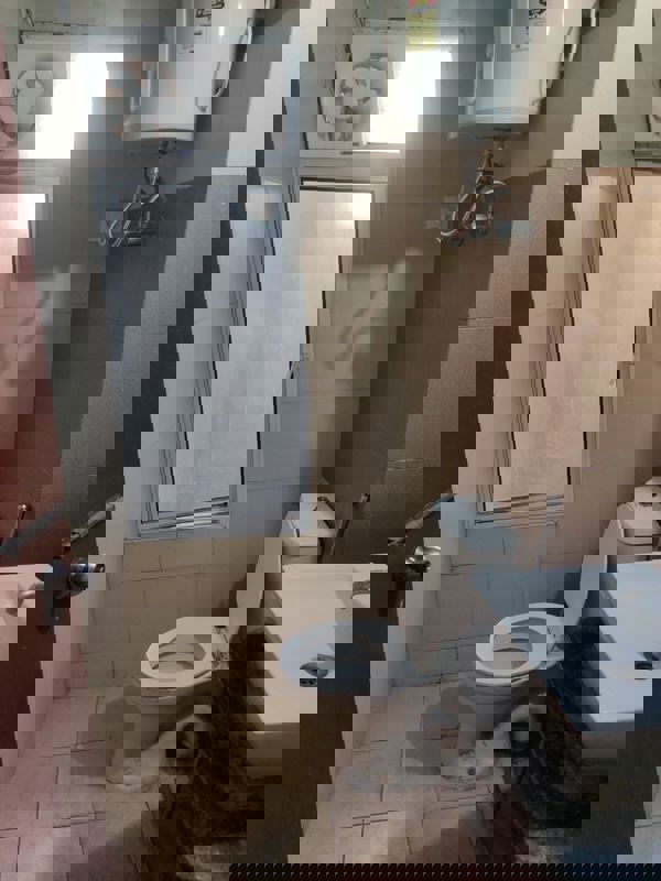 2 BHK Apartment For Rent in Mahagun Mywoods