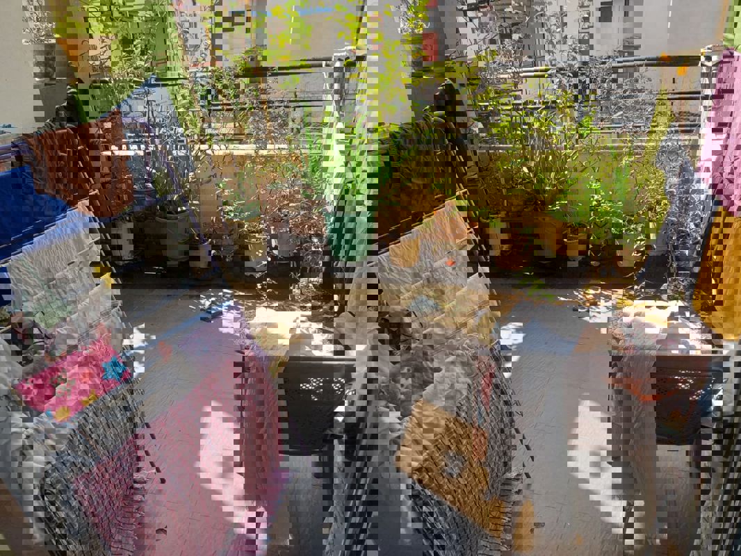 2 BHK + Pooja Room Apartment For Sale in Shraddha Madhav Nilay