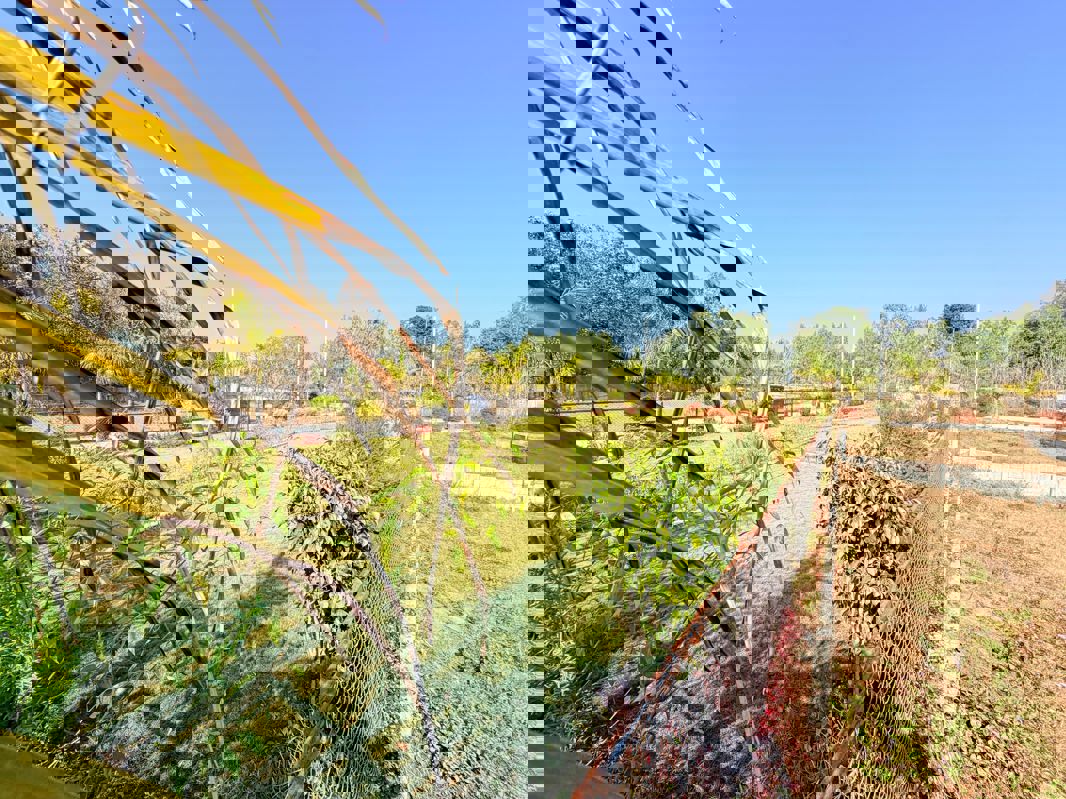 Plot For Sale in Mohabbewala