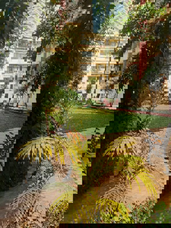 3 BHK Apartment For Rent in Shivaji Park