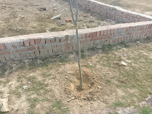 Plot Area in  Plot at Raebareli Road – for Sale