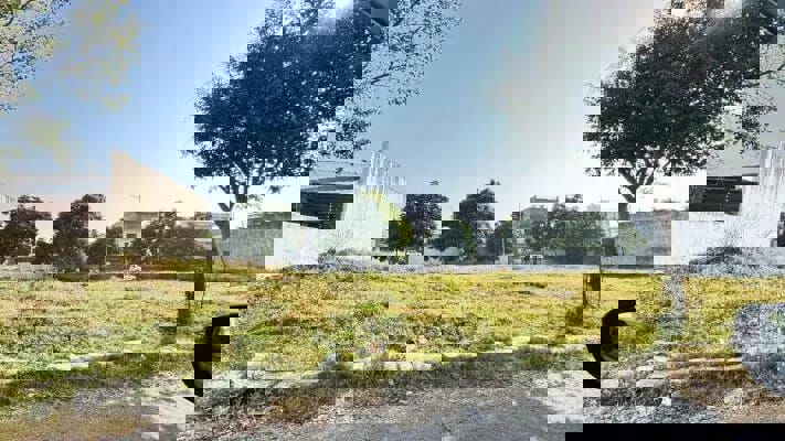 Plot For Sale in Mullanpur