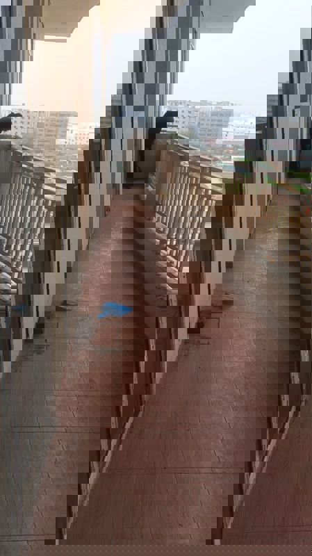 3.5 BHK + Servant Room Apartment For Rent in Ansal Height 86