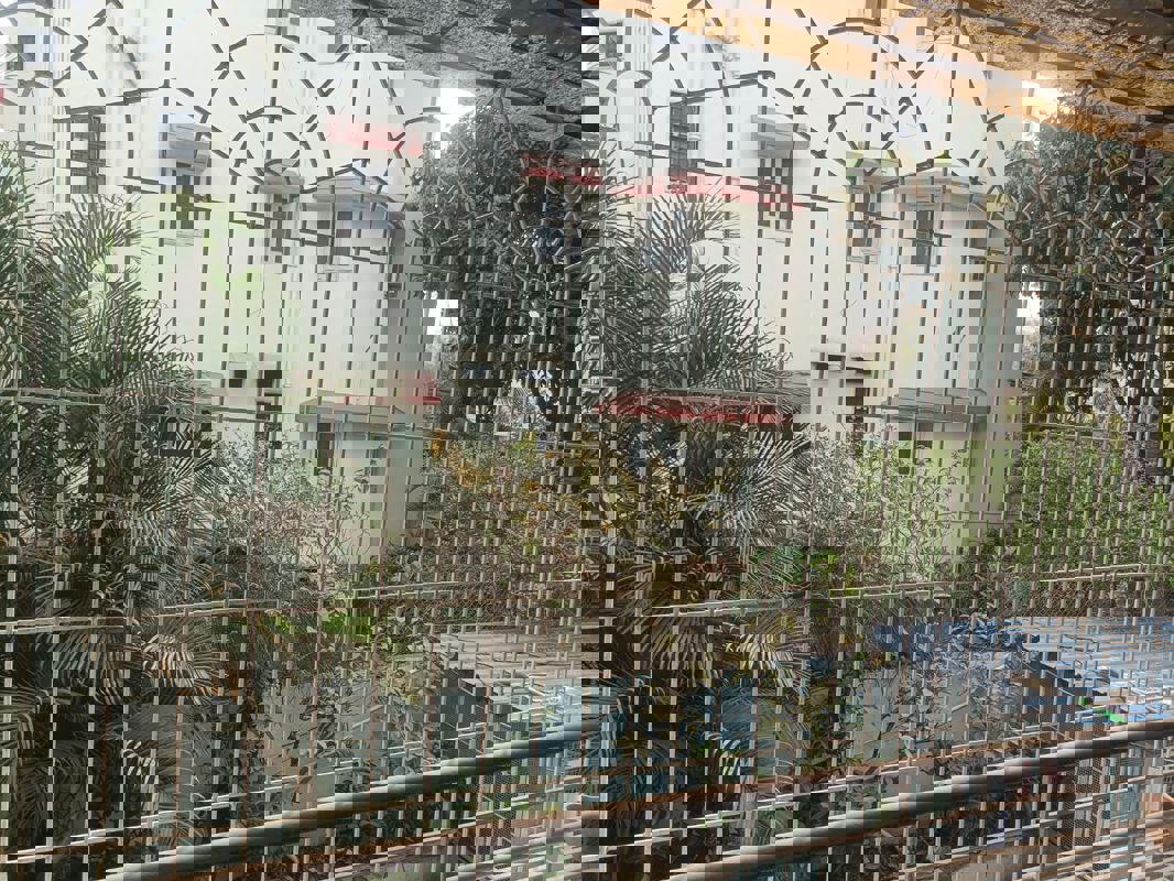 2 BHK Apartment For Sale in Rachana Chaitraban