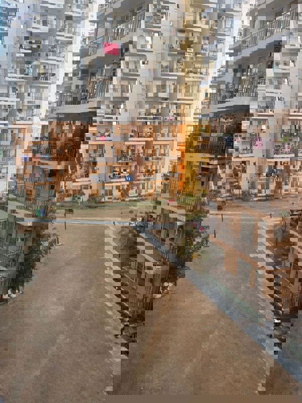 3 BHK Apartment For Sale in ROF Amaltas