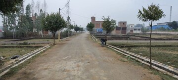 Plot Area in  Plot at Mohanlalganj – for Sale