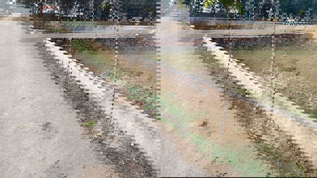 Plot For Sale in Mohanlalganj