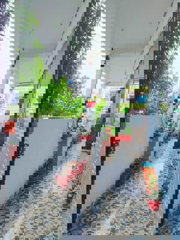 Pg For Rent in Vineet Khand