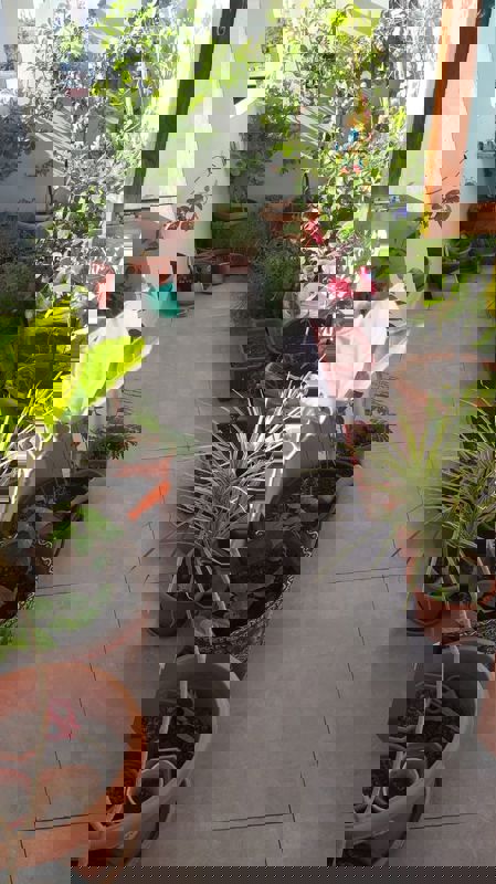 Pg For Rent in Vibhuti Khand