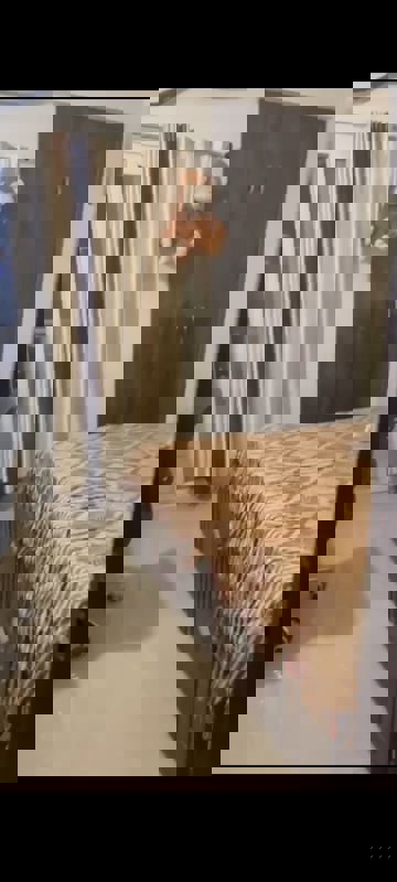 3 BHK Apartment For Rent in Nimbus The Hyde park