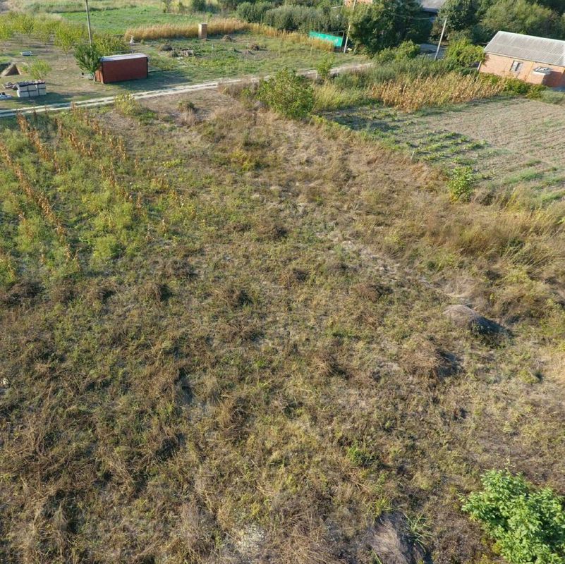 Plot For Sale in Wagholi