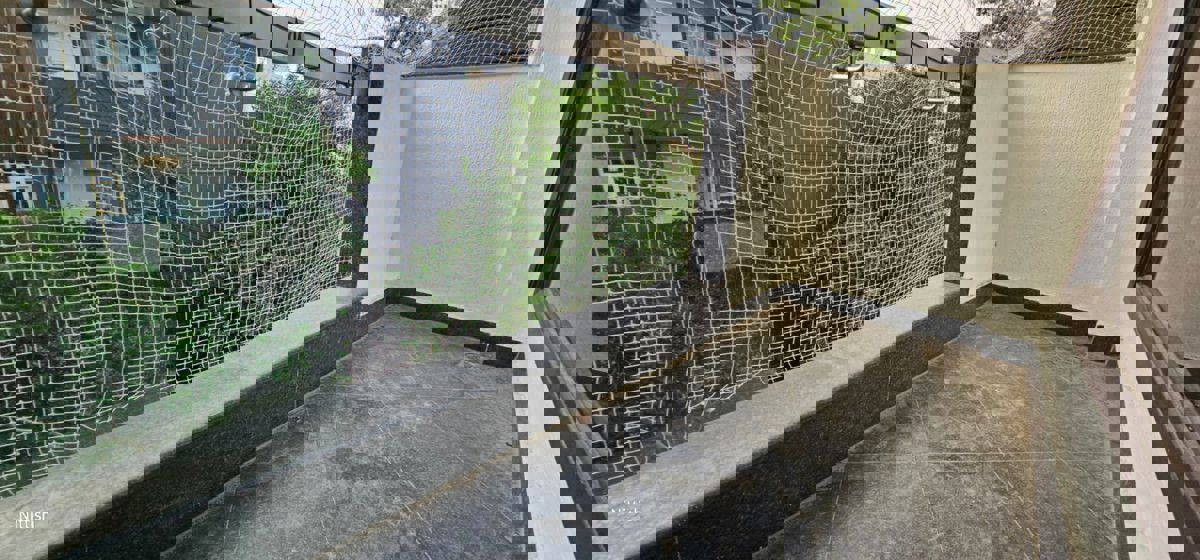 3 BHK Builder Floor For Rent in Chittaranjan Park