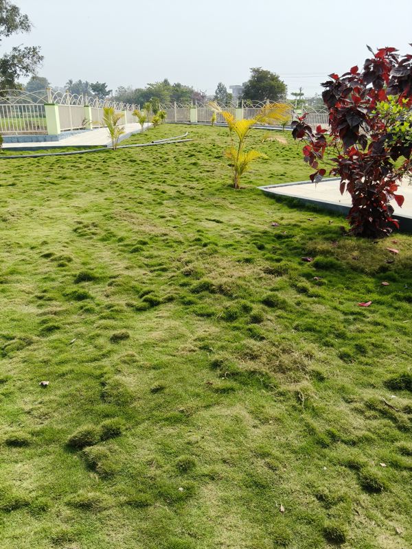 3 BHK + Pooja Room 1600 Sq.Ft. Villa in SLN Signature