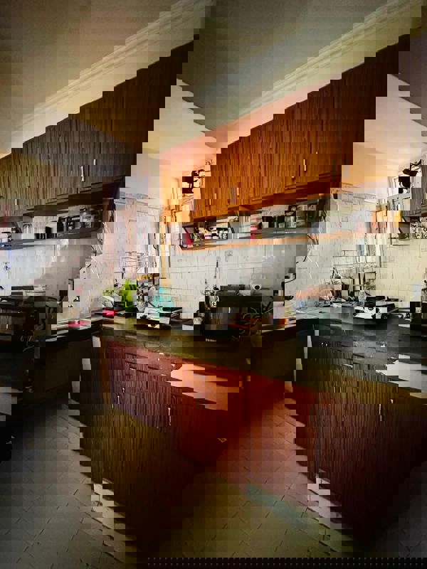 1 BHK Apartment For Rent in Vasant Kunj