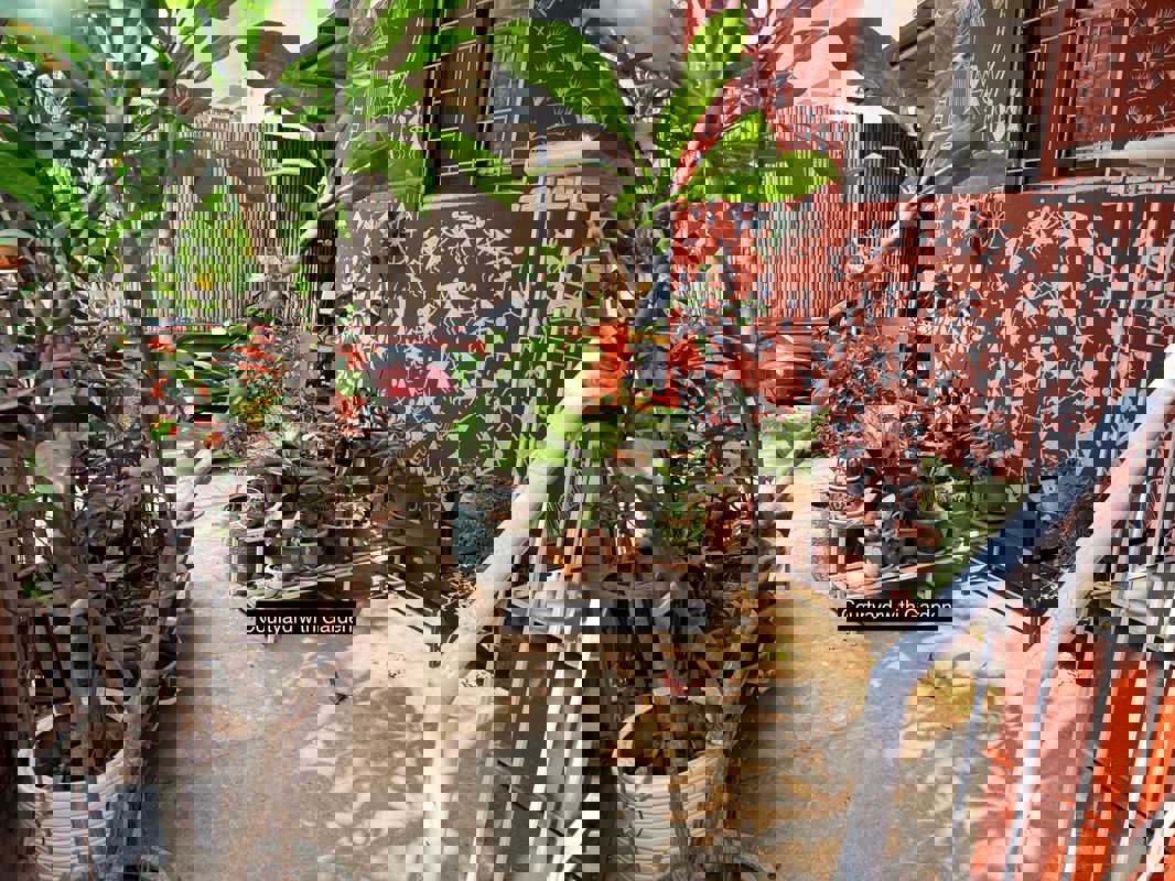 5 BHK + Servant Room Villa For Rent in Anand Park Aundh