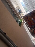 2 BHK 1135 Sq.Ft. Apartment in Landcraft Golf Links