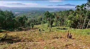 Plot Area in  Plot at Muttil – for Sale