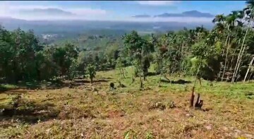 Plot Area in  Plot at Muttil – for Sale