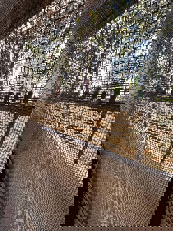 3 BHK + Pooja Room Apartment For Rent in Kondapur