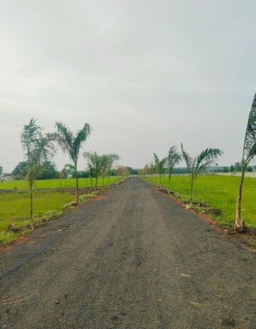  Plot For Sale in Katara