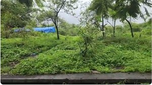  Plot For Sale in Taloja