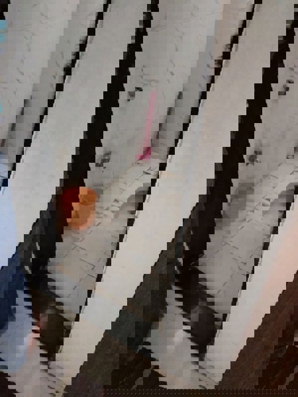 1 BHK Apartment For Rent in Vascon Viola