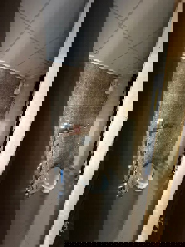 1 BHK Apartment For Rent in Lodha Regalia