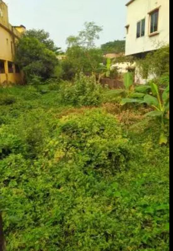 Plot For Sale in Sector 23