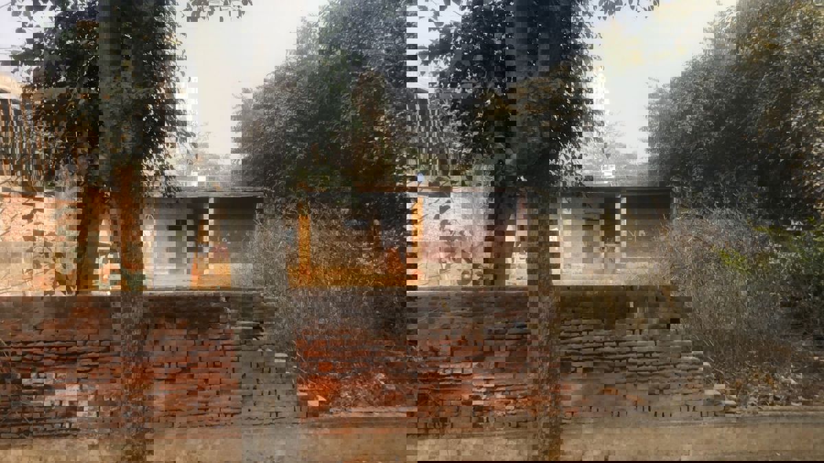 Plot For Sale in Delta II Greater Noida