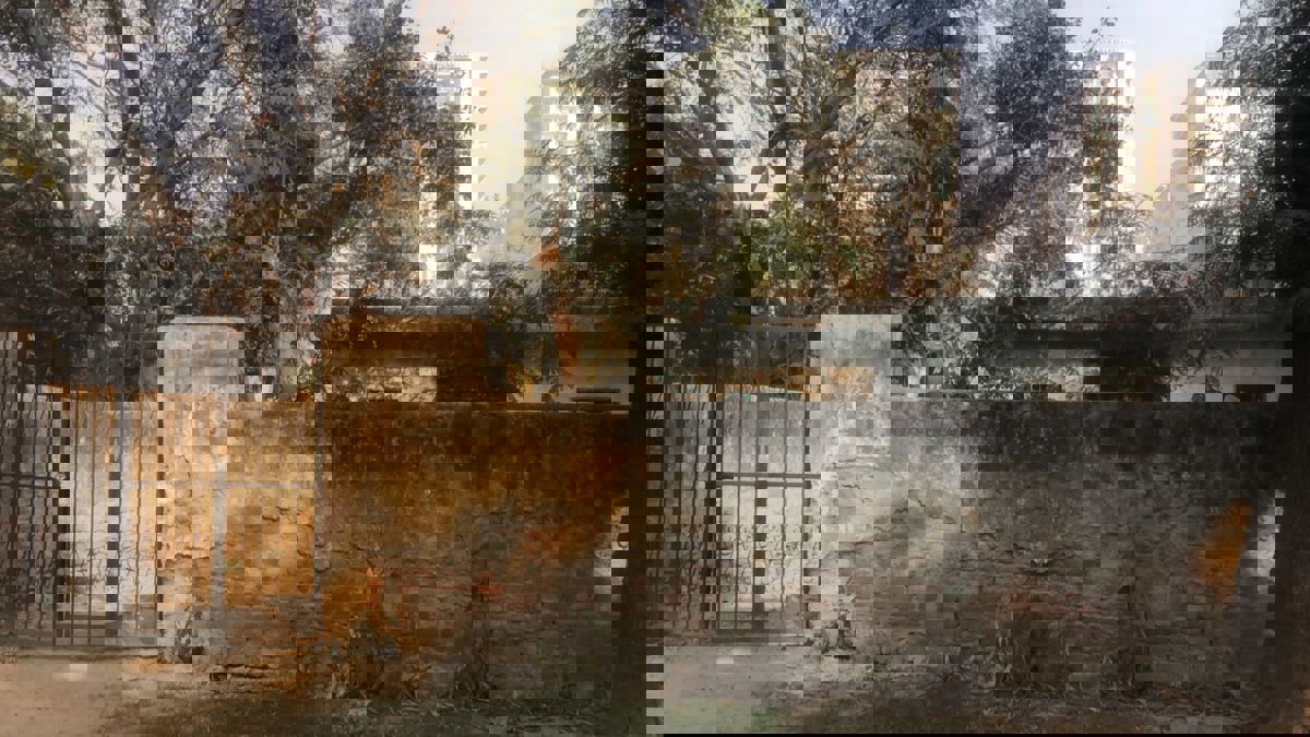 Plot For Sale in Sigma I Greater Noida