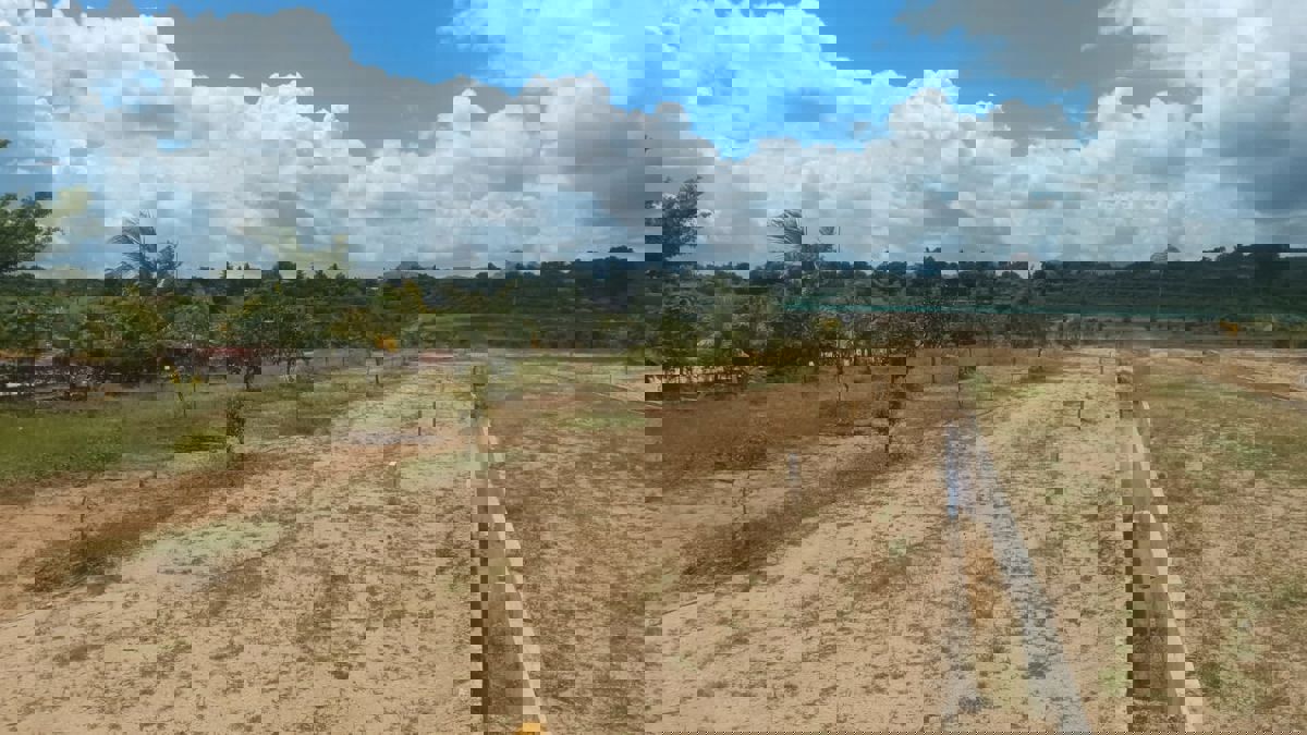 Plot For Sale in Jigani