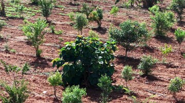 Plot Area in  Plot at Adhartal – for Sale