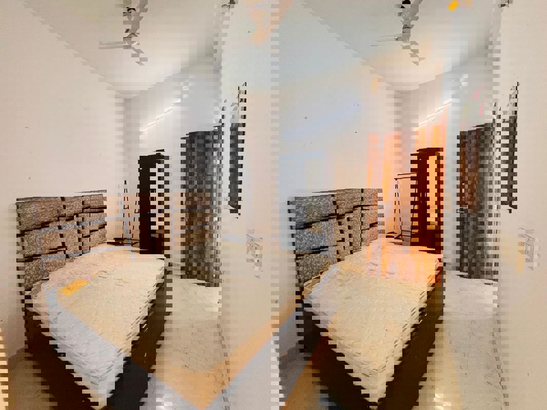 1 BHK Apartment For Rent in Saket