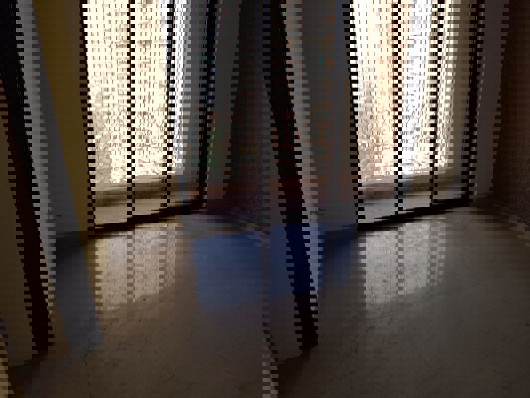 1 BHK Apartment For Rent in Tharwani Rosalie