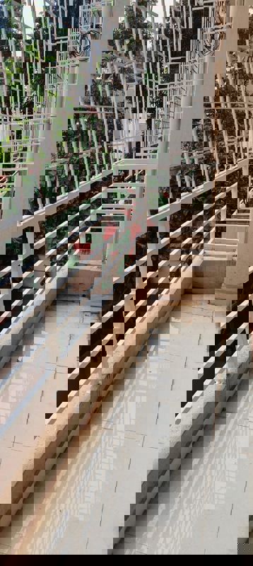 2 BHK Builder Floor For Rent in Koramangala