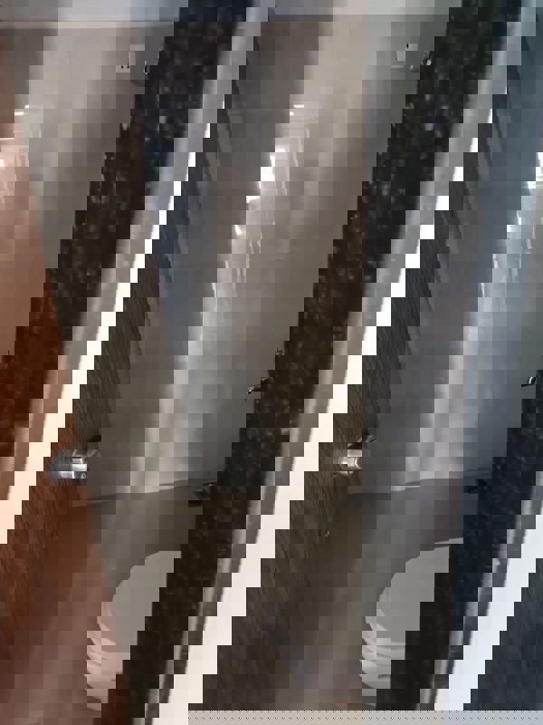 3 BHK Apartment For Rent in Mayur Colony