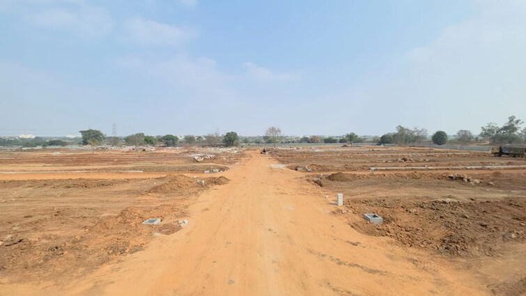 Cover Image, shadnagar  295 Sq.Yd. Plot In Shadnagar Hyderabad 9895810