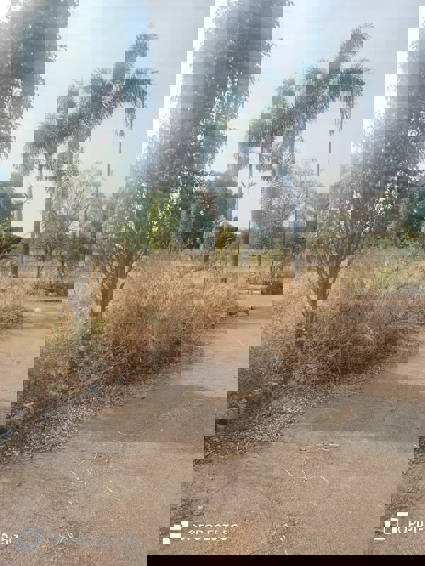 Plot For Sale in Shadnagar