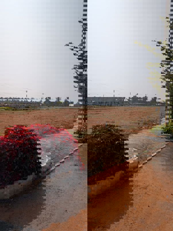 Plot For Sale in Channarayapatna