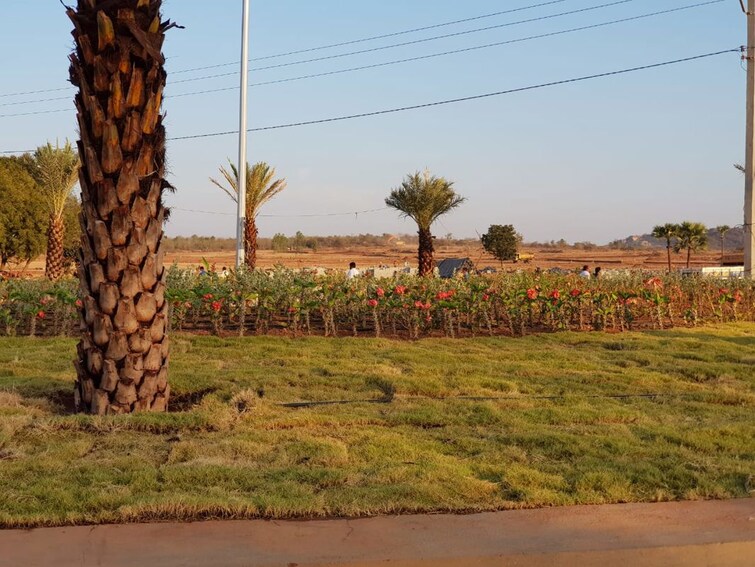 undefined, shamirpet  167 Sq.Yd. Plot In Shamirpet Hyderabad 9898045