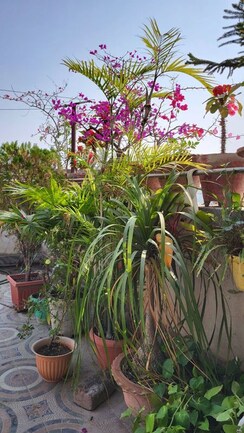 Pg For Rent in Vibhuti Khand