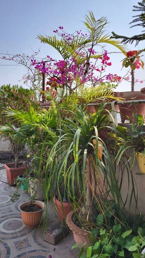 Room in  Pg at Vibhuti Khand – for Rent