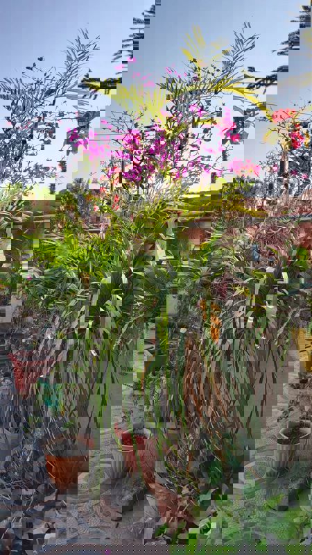 Pg For Rent in Vibhuti Khand