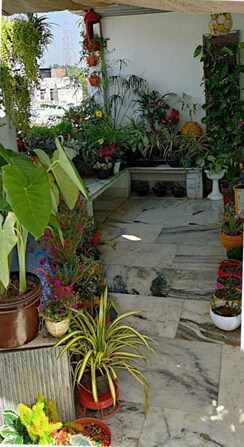 Pg For Rent in Vineet Khand