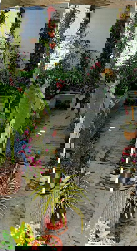 Pg For Rent in Vineet Khand