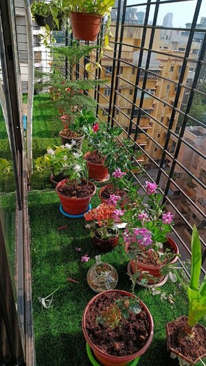 Room in  Pg at Vibhuti Khand – for Rent